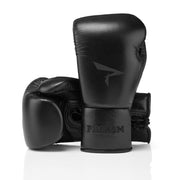Phenom Sg-210 boxing glove black